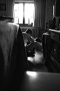 img01335