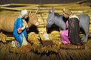 img01438