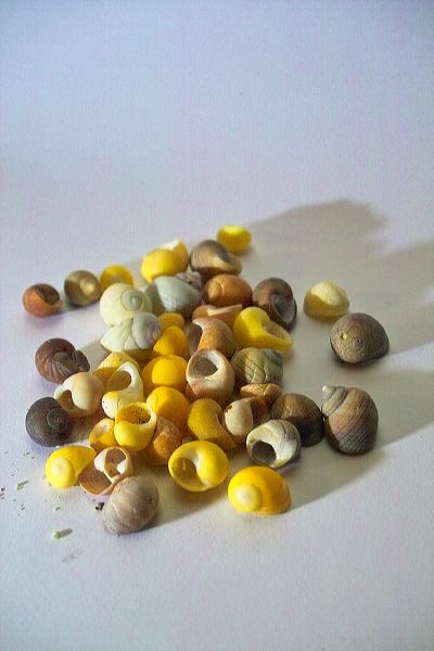 img01912.jpg