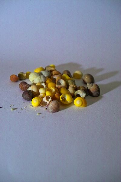 img01913.jpg